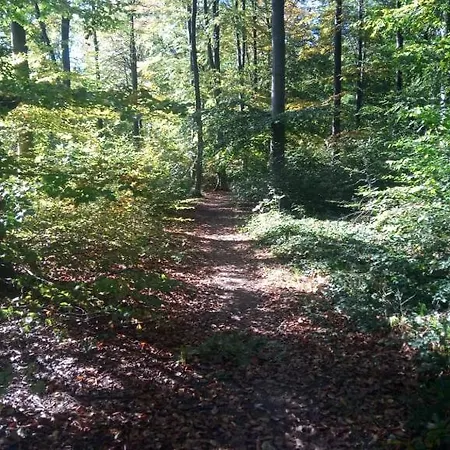 L'ecurie Duplex Welness * Spa