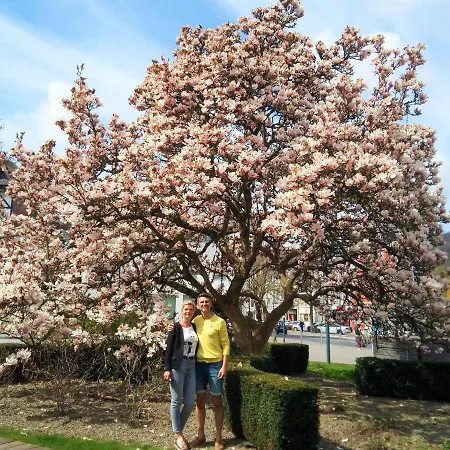 L'ecurie Duplex Welness Spa