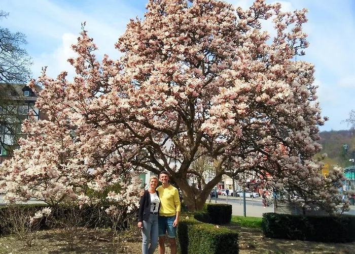 L'ecurie Duplex Welness Spa